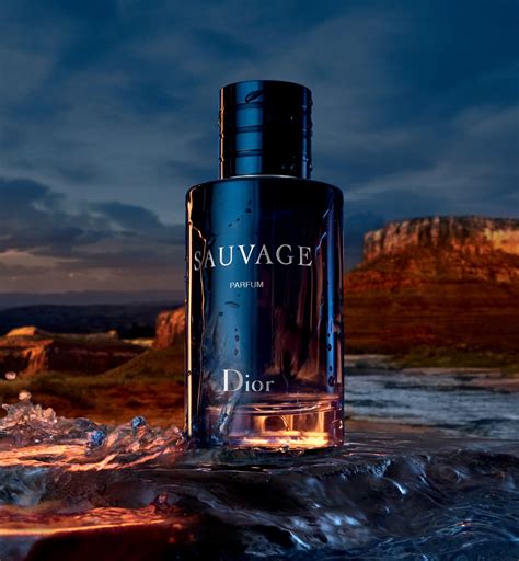 sauvage the bay